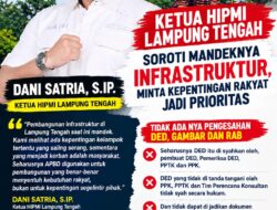 DED Tender Dipersoalkan, Ketua HIPMI Lamteng: Jangan Korbankan Rakyat Karena Infrastruktur Mandek